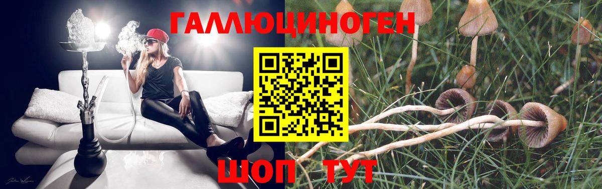 Галлюциногенные грибы GOLDEN TEACHER Добрянка