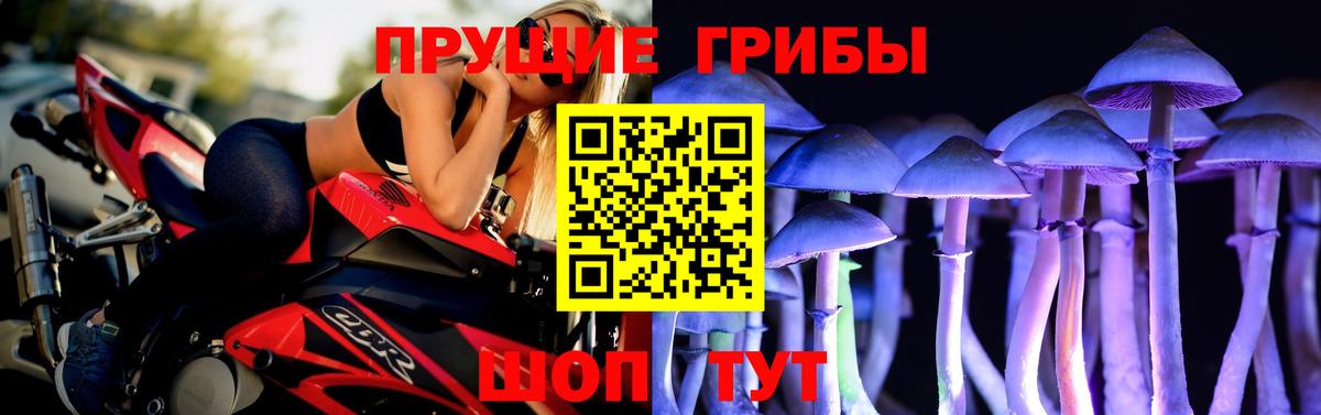 Добрянка  Псилоцибиновые грибы MAGIC MUSHROOMS  Вход с VPN 